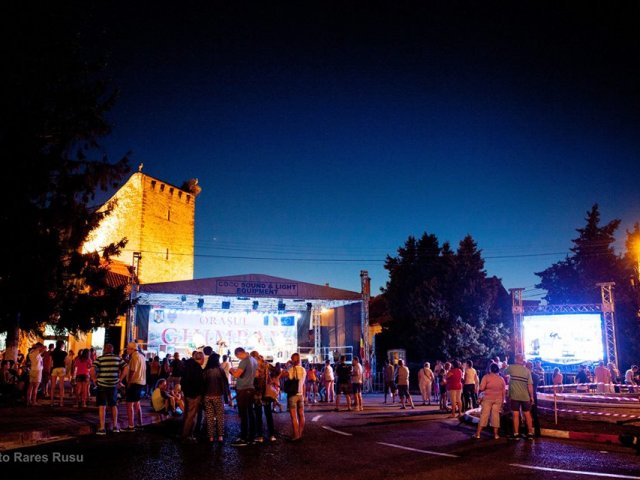 Festivalul Istoric - 2016